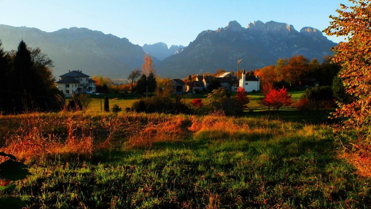 B&B Col Del Vin 벨루노 외부 사진